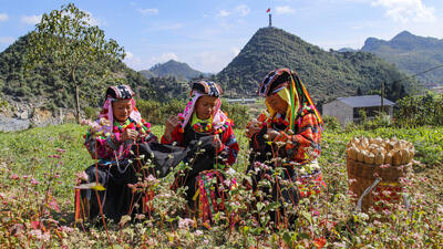 Cũng như nhiều dân tộc thiểu số cư trú ở miền núi phía Bắc như dân tộc Dao, Mông, trang phục của phụ nữ Lô Lô Hoa mang sắc màu rực rỡ như rừng hoa khoe sắc.