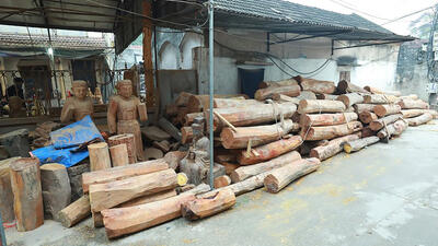 Dưới bàn tay tài hoa của người thợ Sơn Đồng, các khúc gỗ được“lột xác” thành những bức tượng tinh tế.